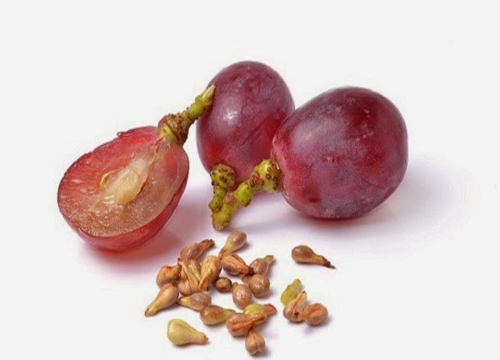 Hạt nho có tác dụng phòng ngừa bệnh răng miệng