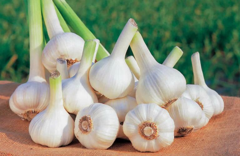 Dinh dưỡng nâng cao sức đề kháng trong “mùa” dịch Covid-19 (nCoV)